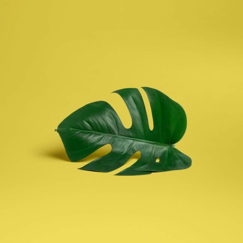 تغییر ارزش عکاسی